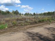 Лісобуда з panoramio.com