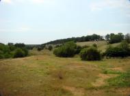 Червонодніпровка з panoramio.com