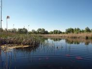 Красна Лука з panoramio.com