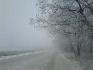 Світле з panoramio.com