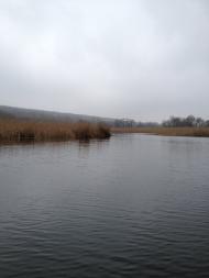 Криничне з panoramio.com