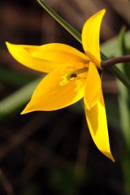 Скельки - Останні фото