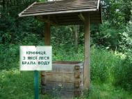 Скулин з panoramio.com