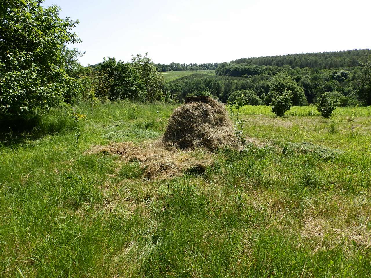 'Ненькина колиска' - Кам'янка