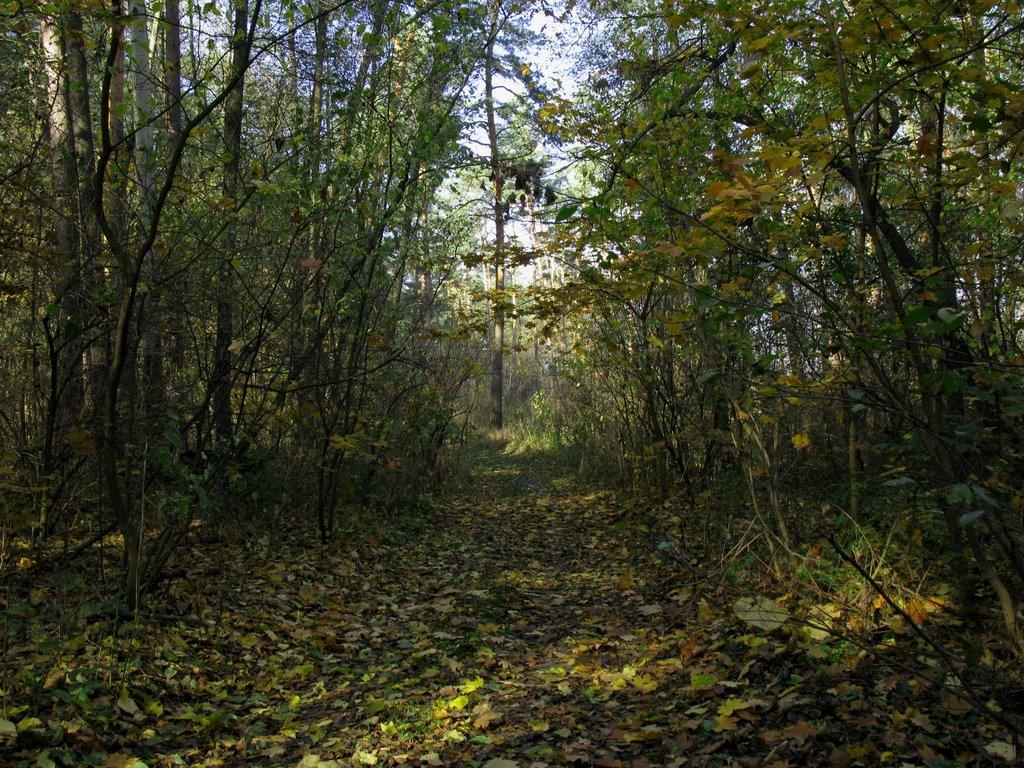 Соцзмагання з panoramio.com - Соцзмагання
