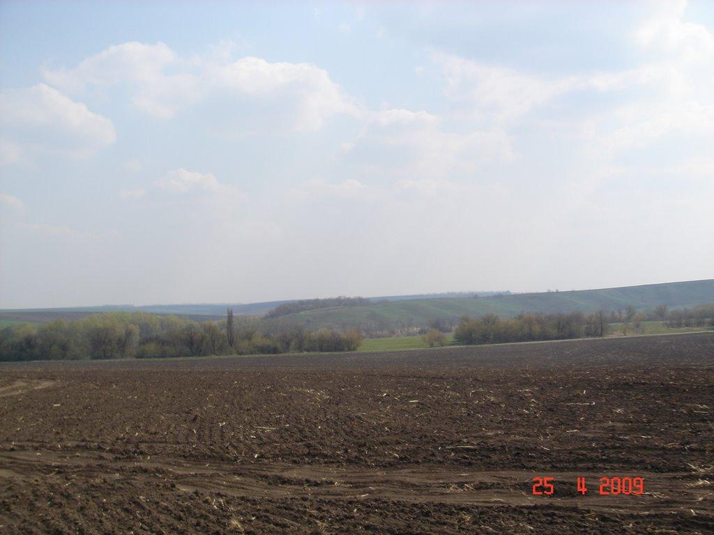 Сніжкове з panoramio.com - Снежково