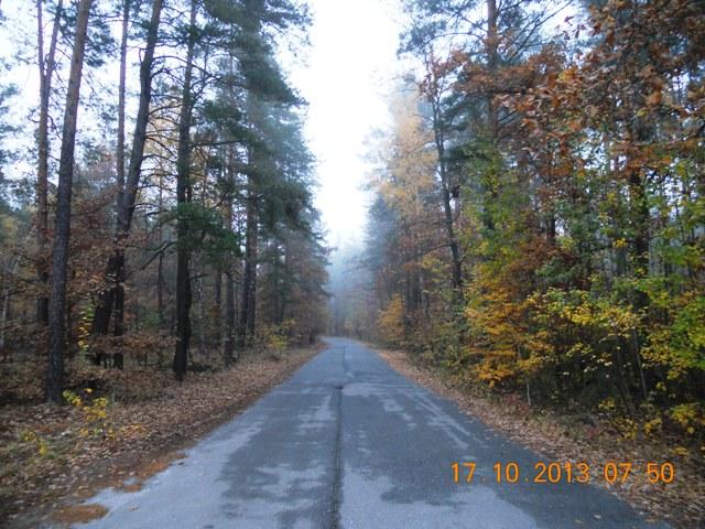 Бондарня з panoramio.com - Бондарня