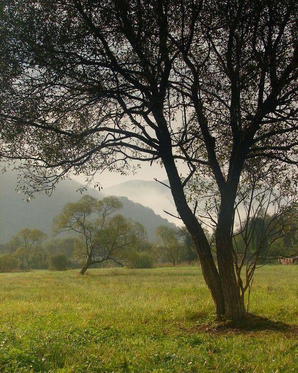 Забрідь з panoramio.com - Забродь