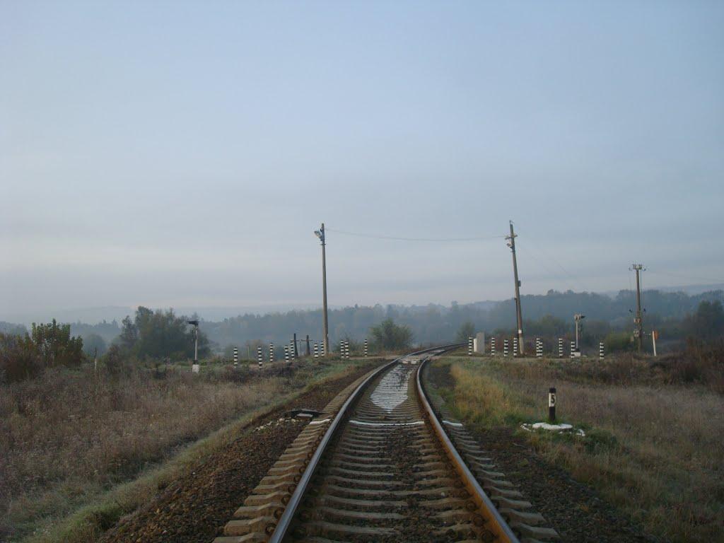 Городок з panoramio.com - Городок