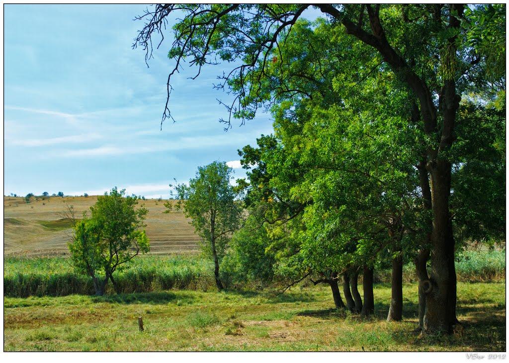 Заводівка з panoramio.com - Заводівка