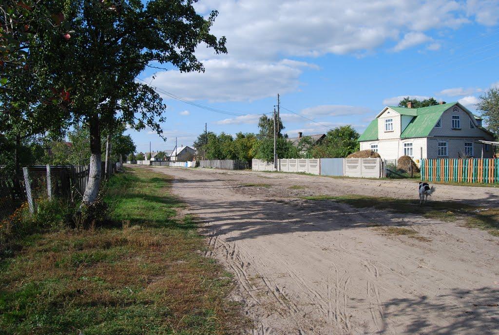 Малинськ з panoramio.com - Малинськ