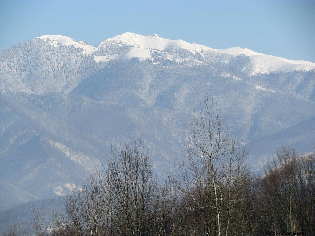 Хмелів з panoramio.com - Хмелів