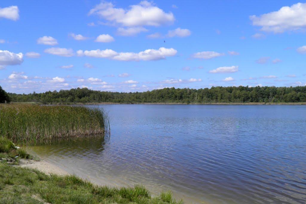 Карасин з panoramio.com - Карасин