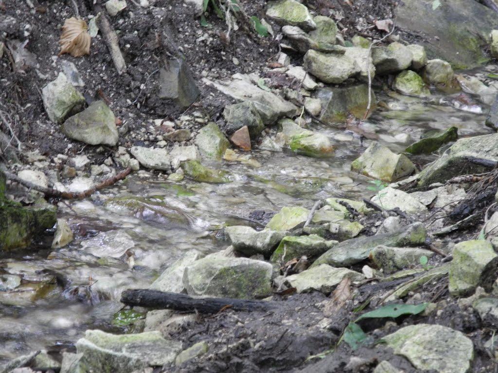 Кружилівка з panoramio.com - Кружиловка