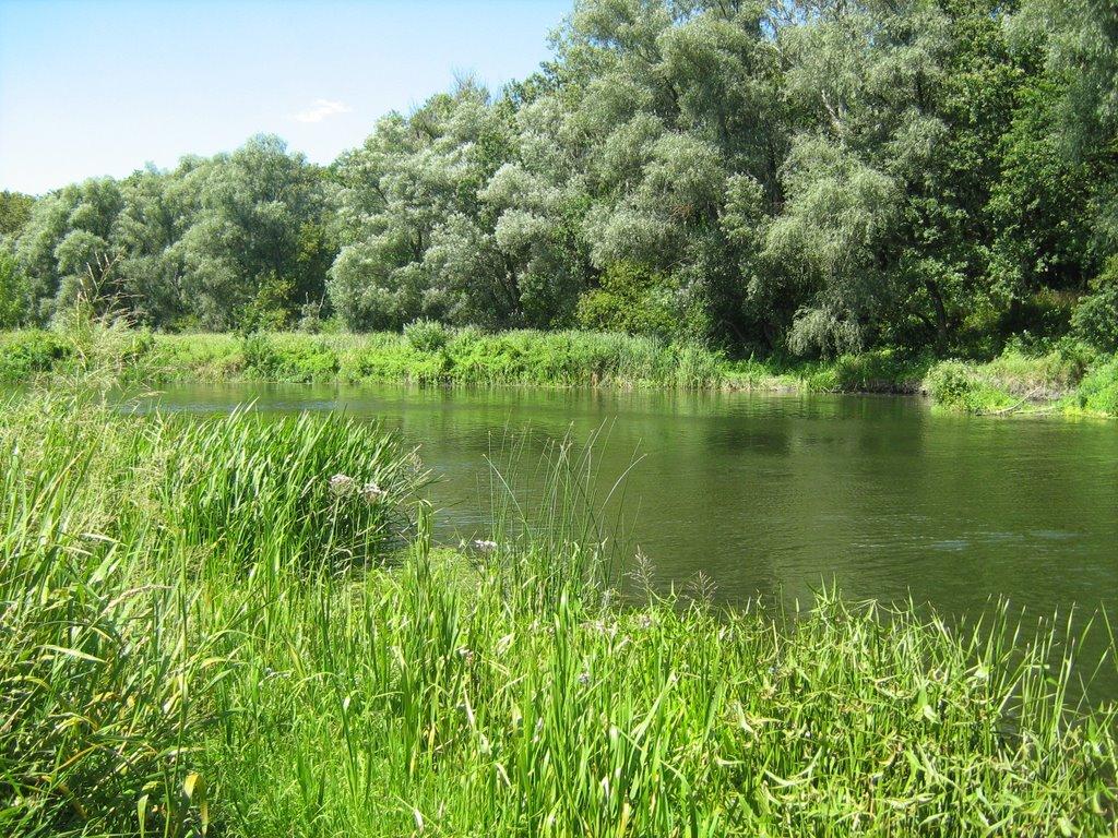 Червоний Шахтар з panoramio.com - Червоный Шахтер