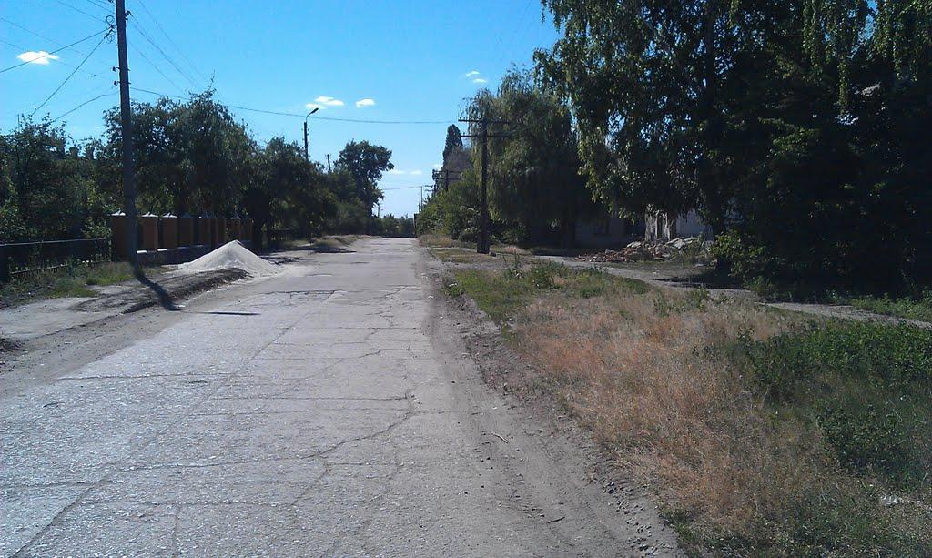 Святилівка з panoramio.com - Svyatylivka