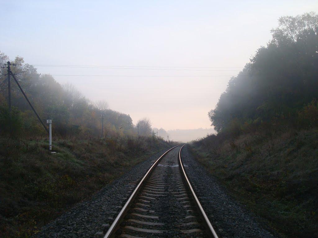 Городок з panoramio.com - Городок