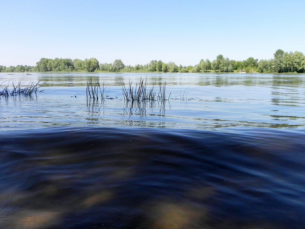 Хотянівка з panoramio.com - Хотяновка