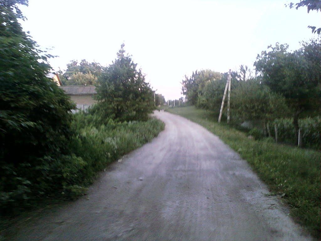 Порадівка з panoramio.com - Порадівка