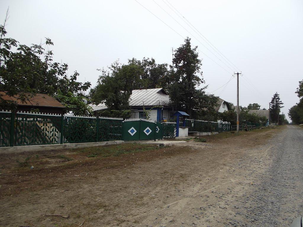 Антоніна з panoramio.com - Антонина