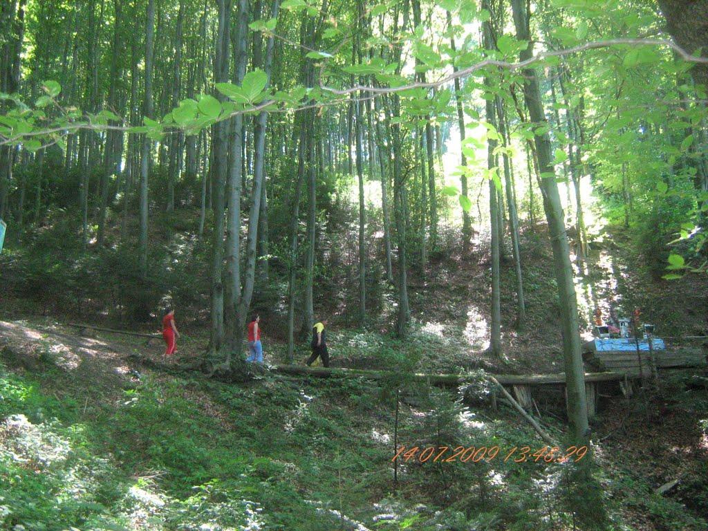 Пістинь з panoramio.com - Пистынь