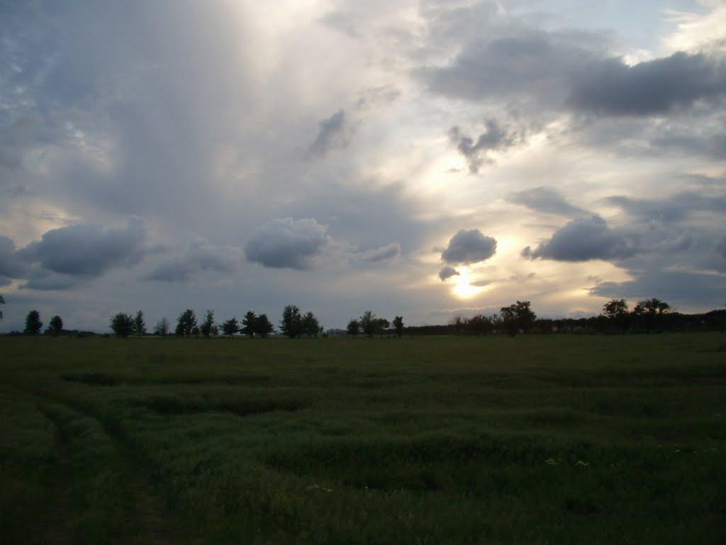 Миколаївське з panoramio.com - Николаевское