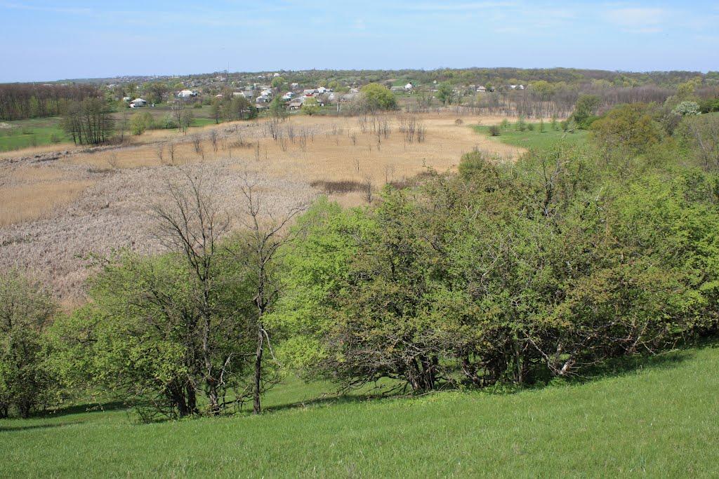 Загородище з panoramio.com - Загородище