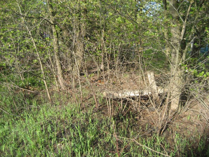 Северинівка - Severynivka