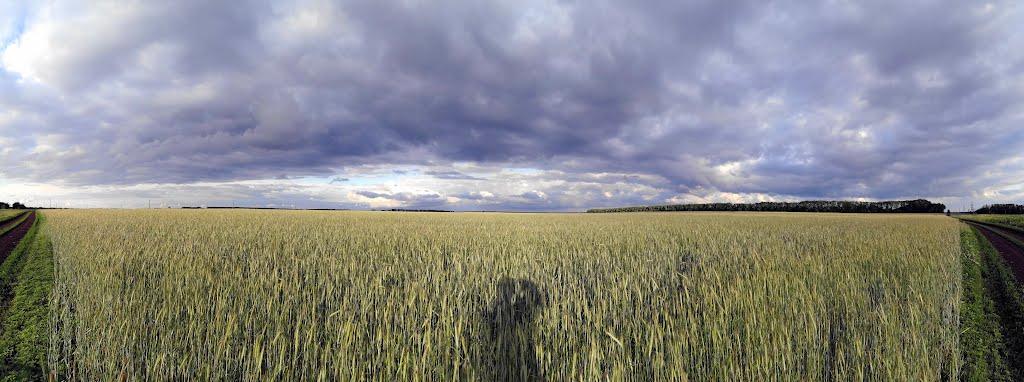 Іванівка з panoramio.com - Ивановка