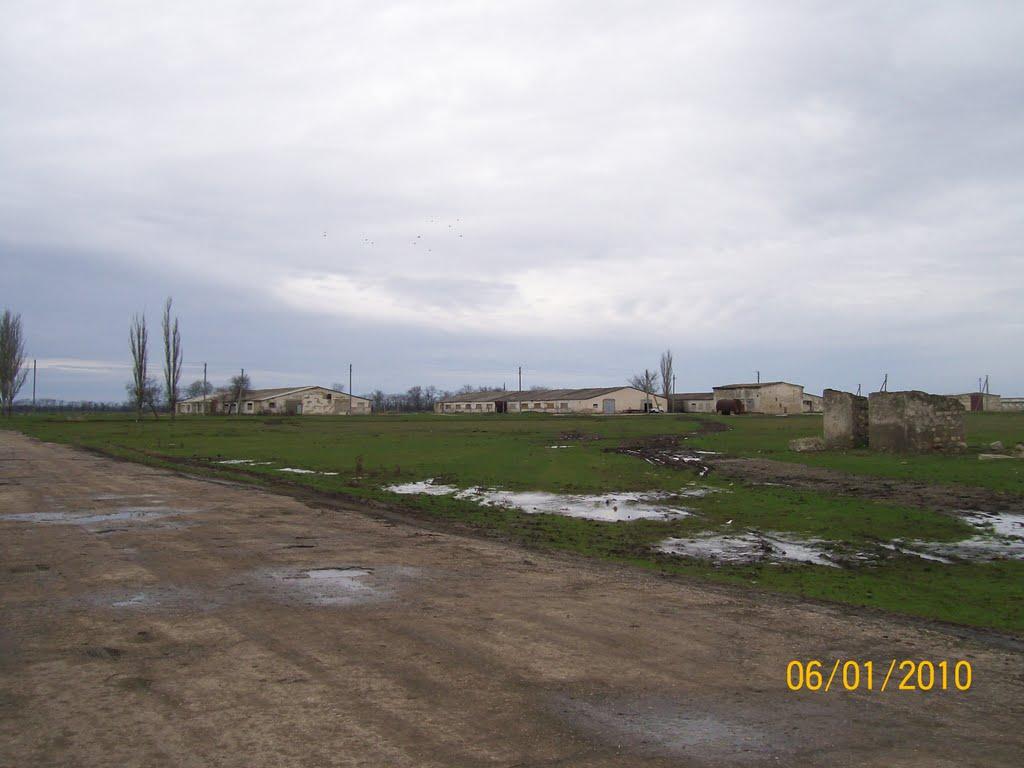 Пчільники з panoramio.com - Пчільники