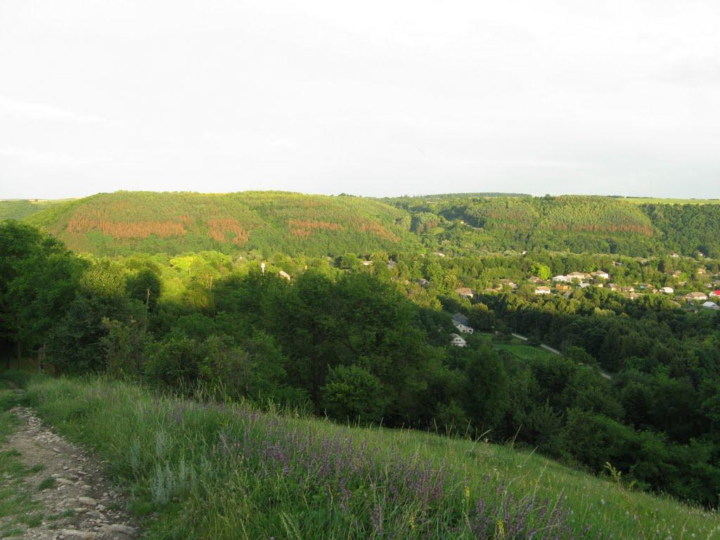 Миньківці з panoramio.com - Миньківці