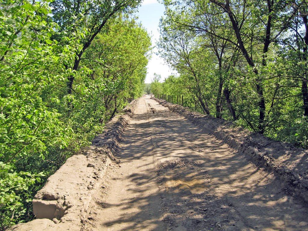 Селезнівка з panoramio.com - Селезневка