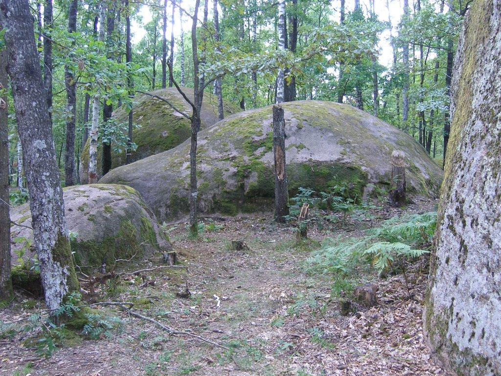 Рудня-Замисловицька з panoramio.com - Рудня-Замисловицька