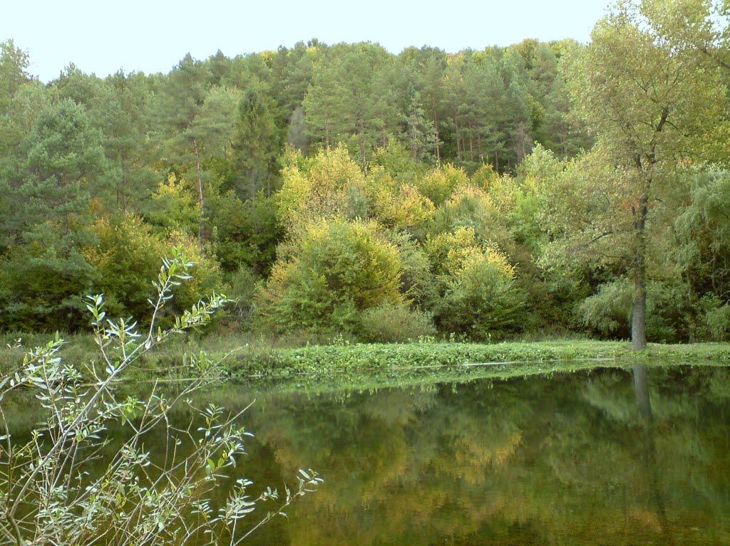 Рогачин з panoramio.com - Рогачин