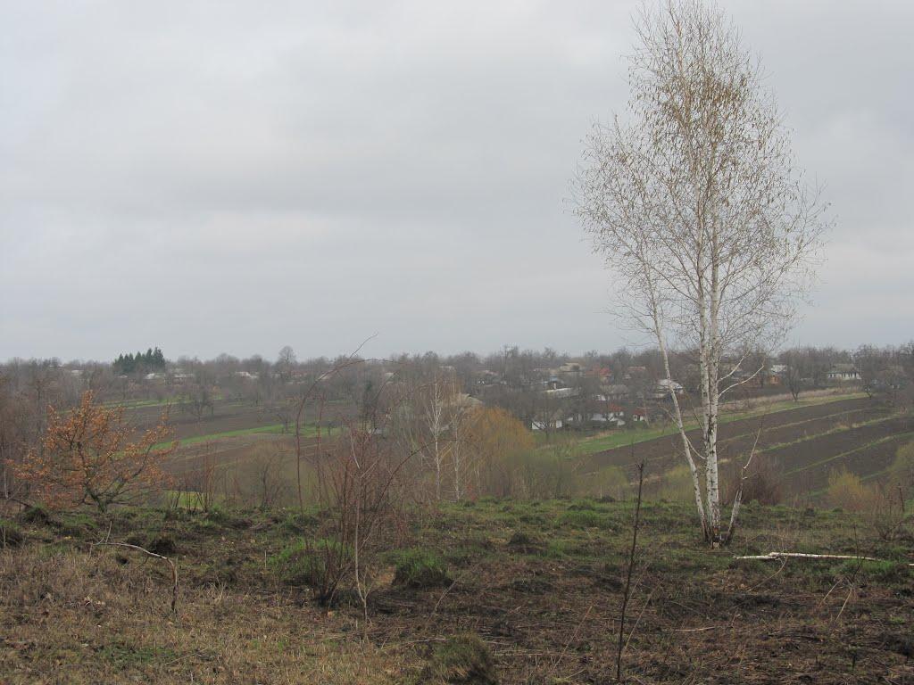 Бушинка з panoramio.com - Бушинка