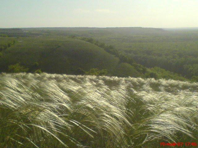 Кружилівка з panoramio.com - Кружиловка