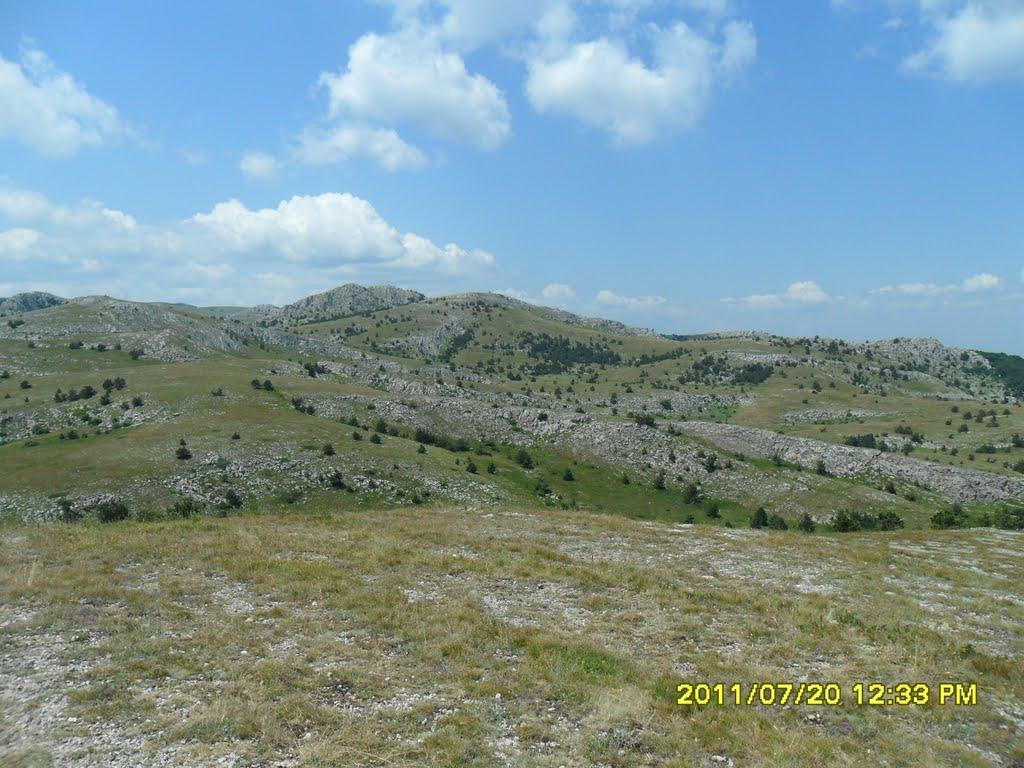 Виноградний з panoramio.com - Виноградний