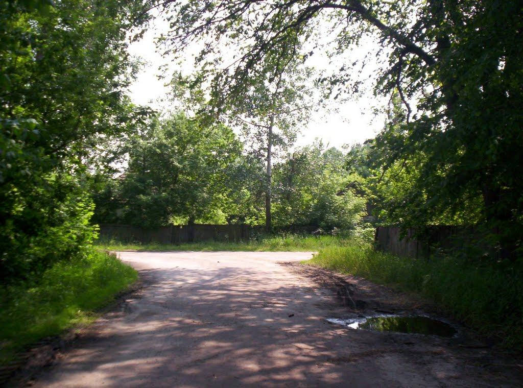 Максимівка з panoramio.com - Максимівка