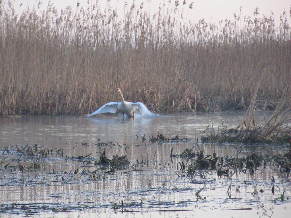 Маркостав з panoramio.com - Маркостав