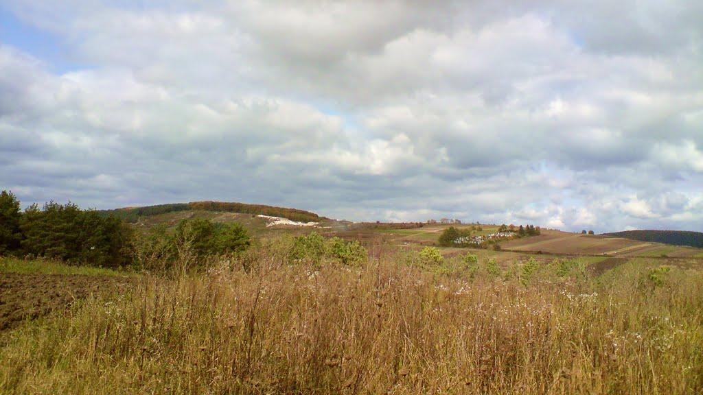 Куряни з panoramio.com - Куряни