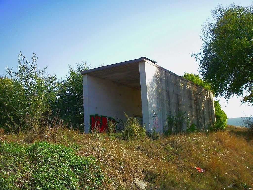 Красний Мак з panoramio.com - Красный Мак