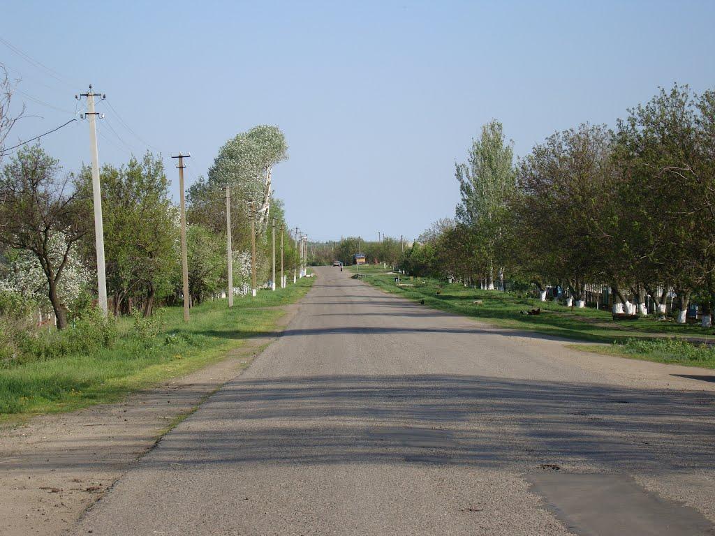 Новоукраїнка з panoramio.com - Новоукраїнка