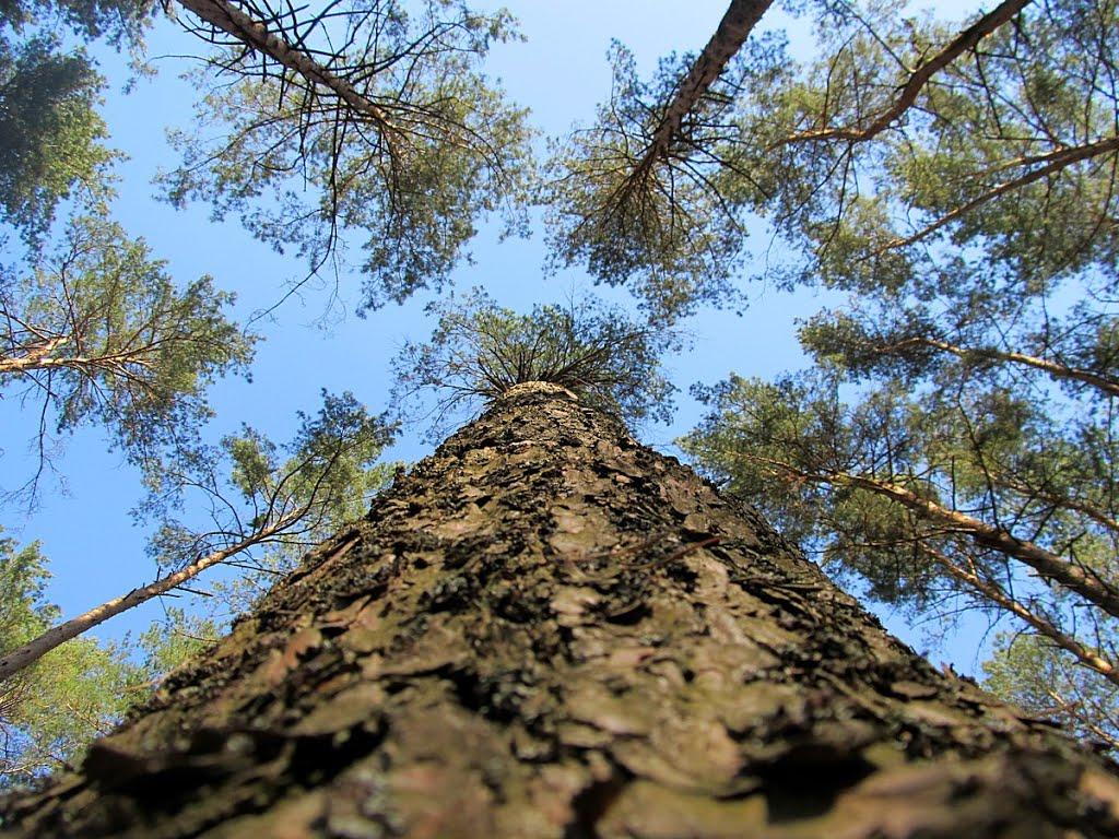 Полонне з panoramio.com - Полонне