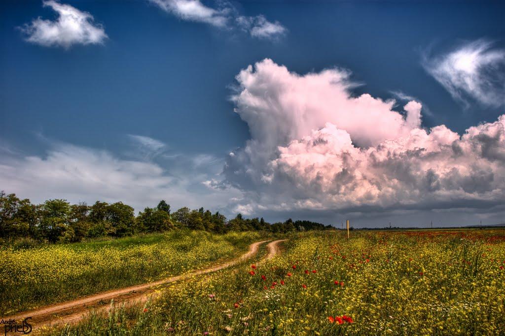 Леніне з panoramio.com - Леніне