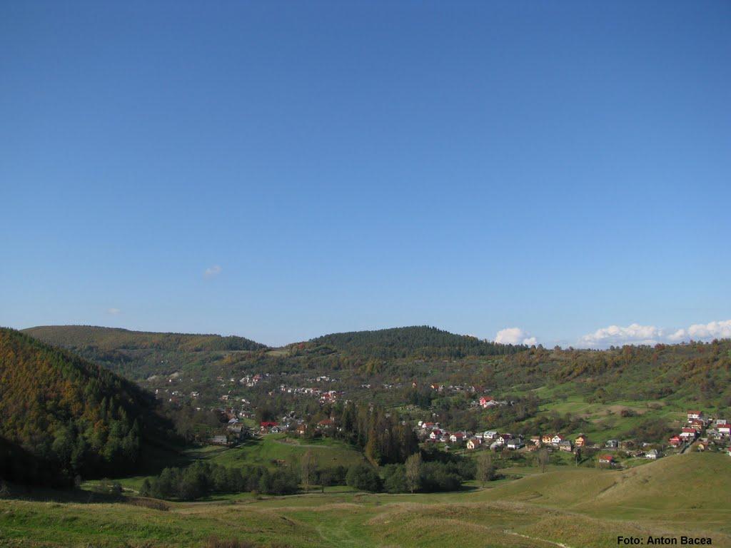 Луг з panoramio.com - Lug