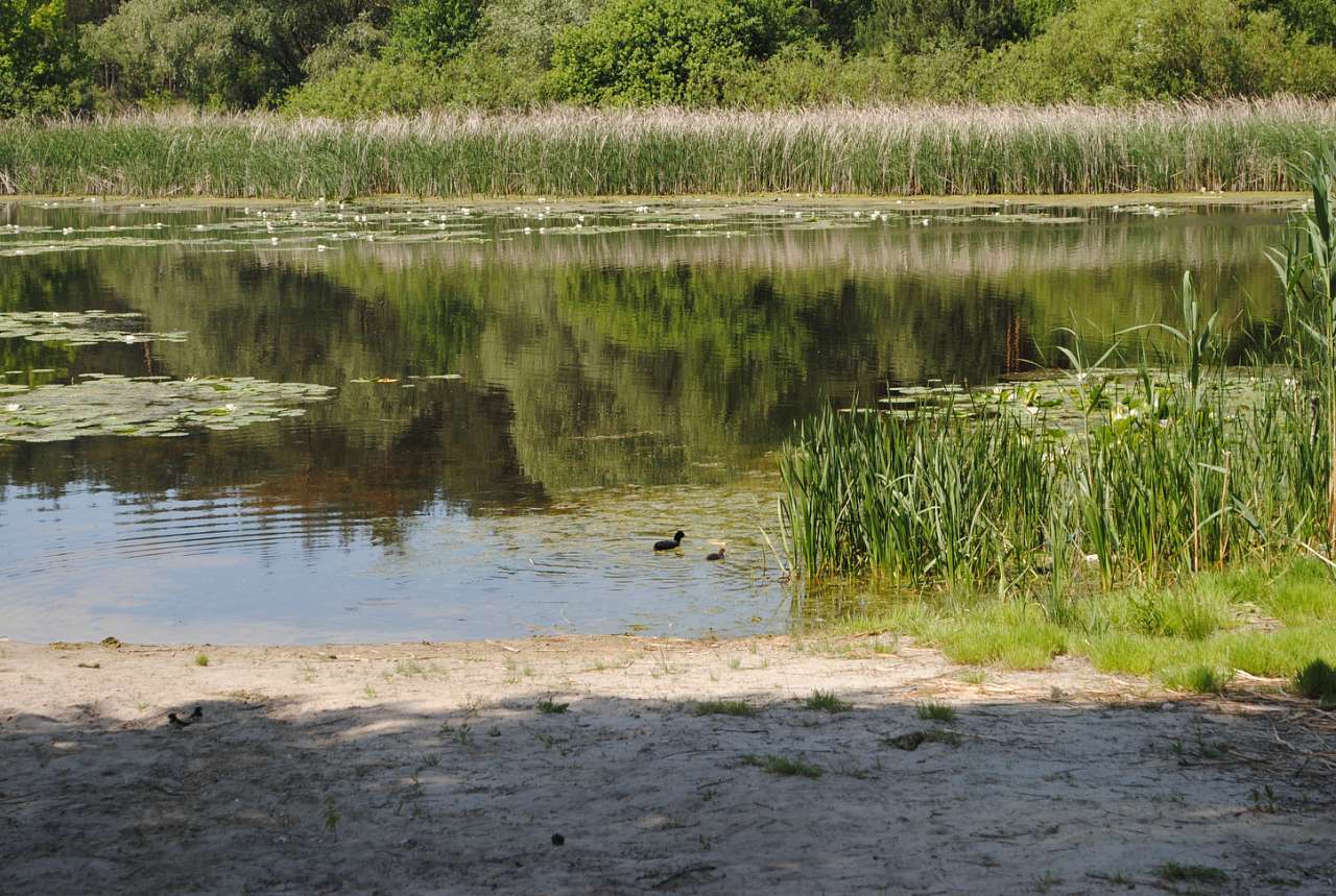 По Сулі - Матвеевка