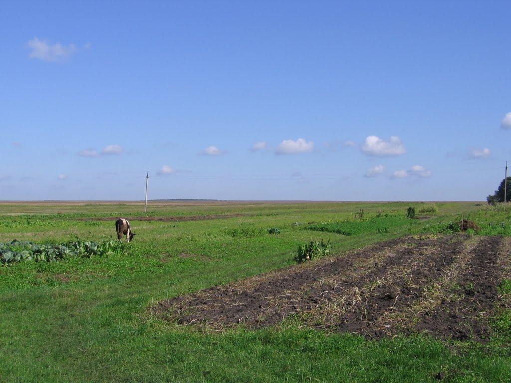 Дмитрів з panoramio.com - Дмитрів