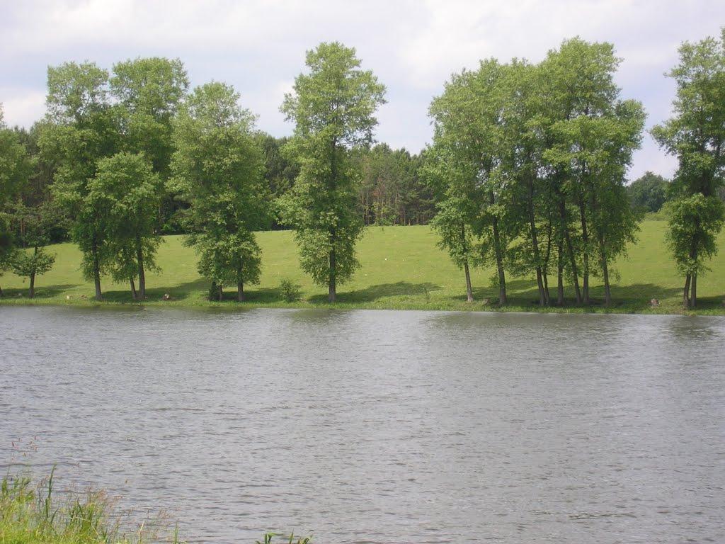 Мислятин з panoramio.com - Мислятин