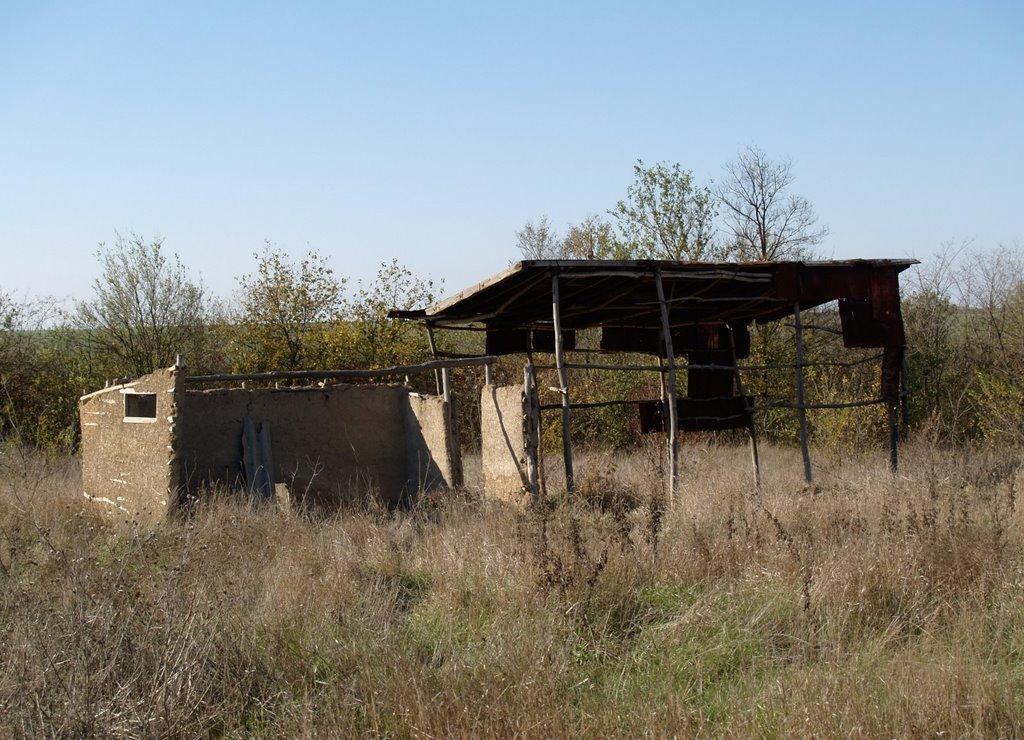 Переможне з panoramio.com - Переможное