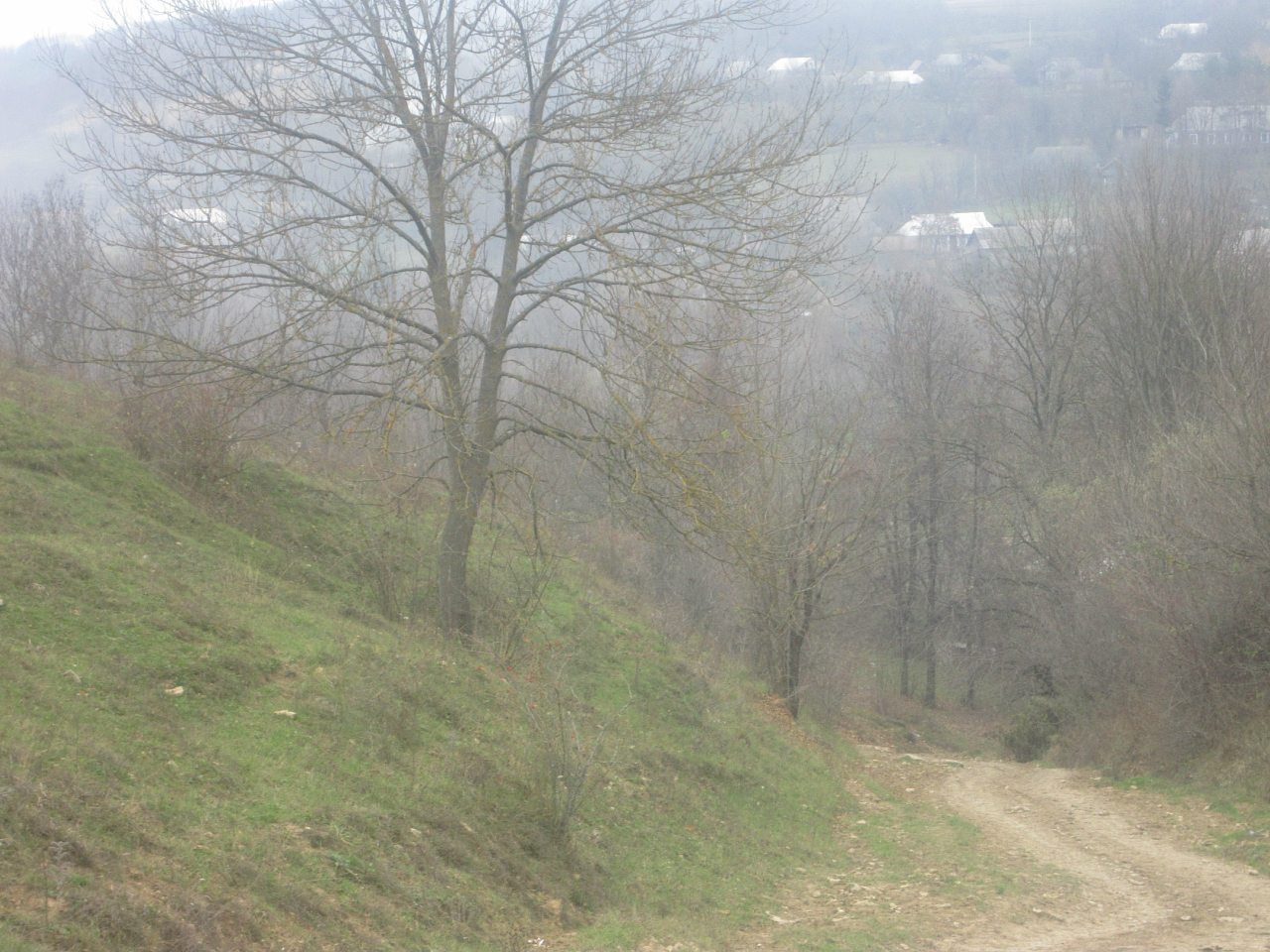 ПРИРОДА - Рачинці